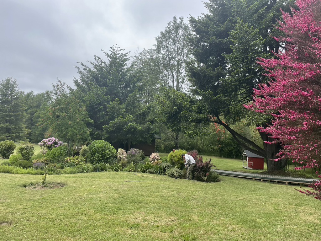 Paisajismo — jardín