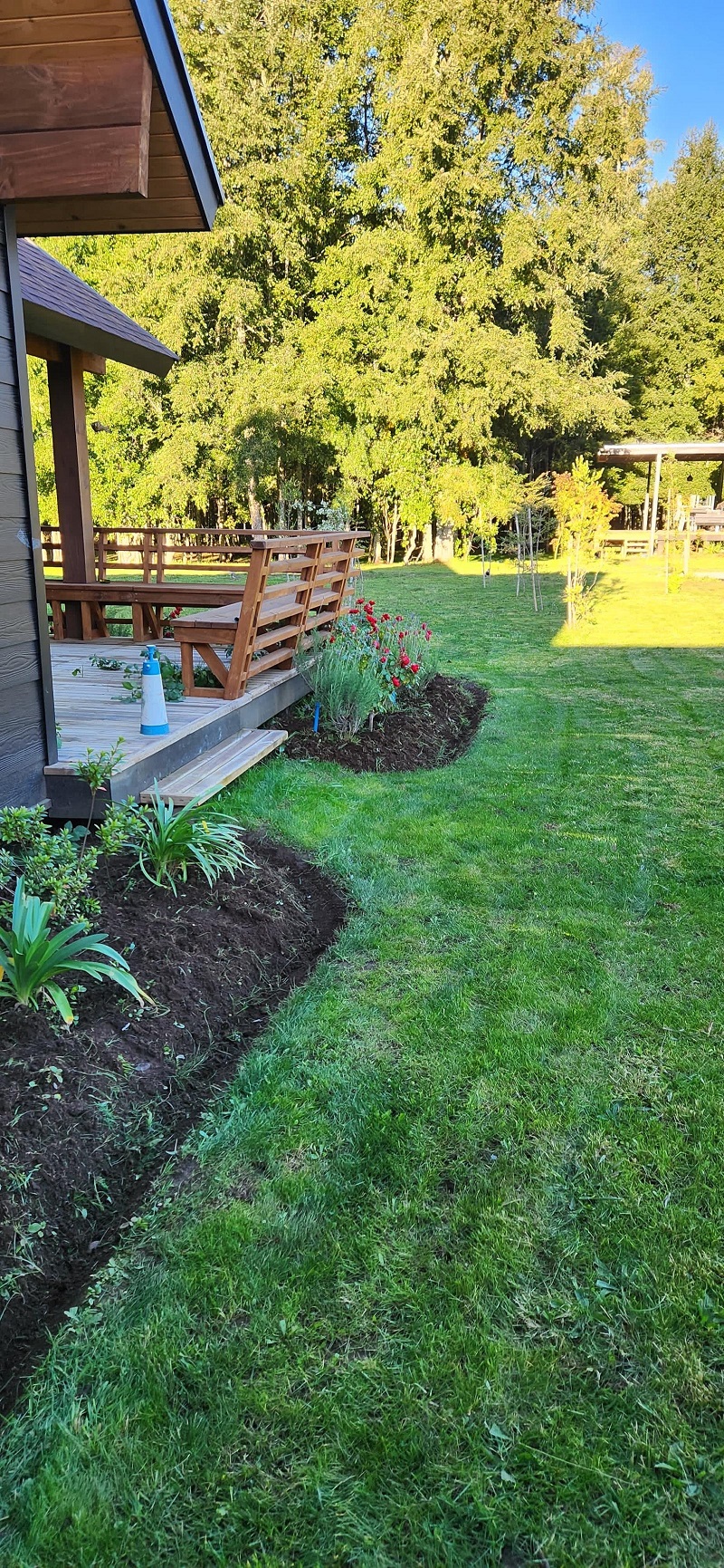Renovación de jardín con riego automatizado en Villarrica