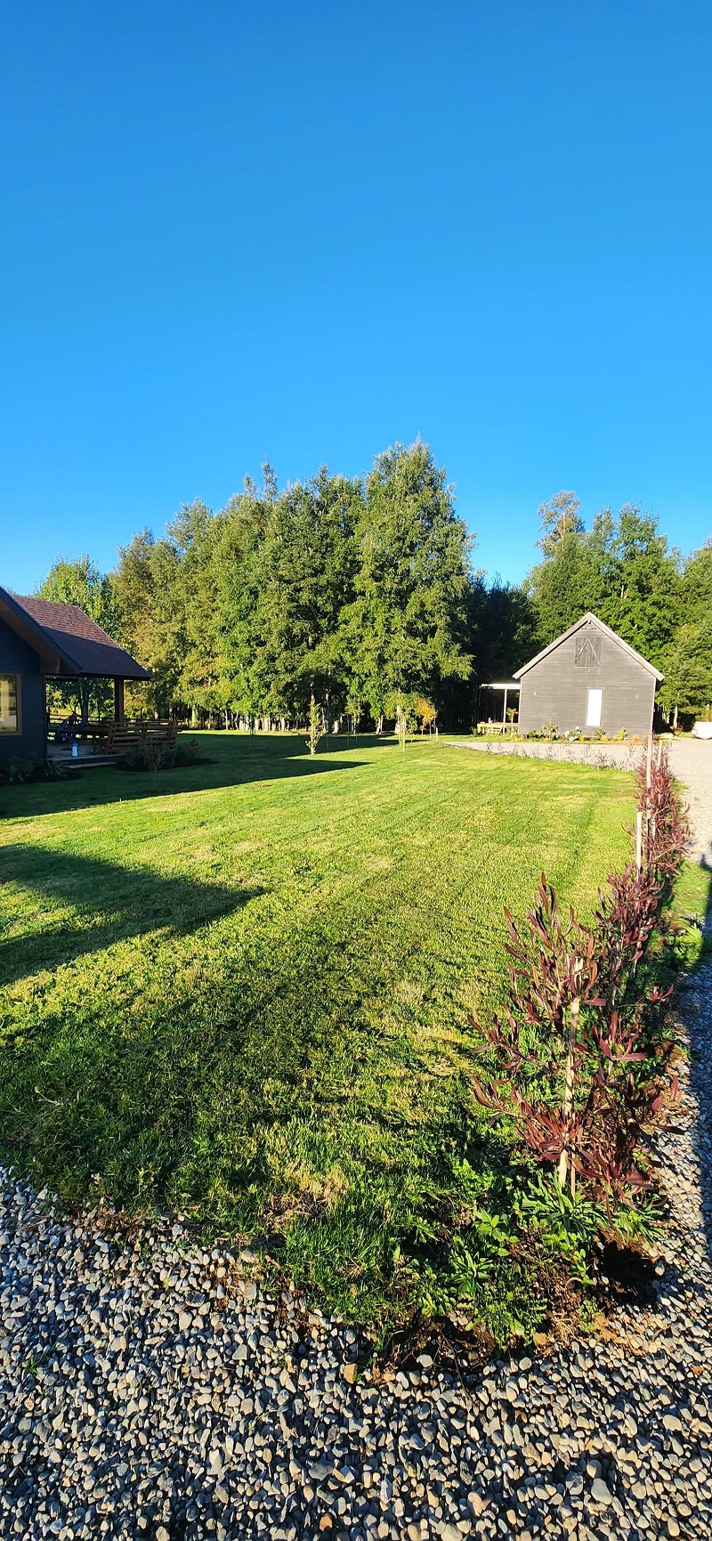 Macizos florales con especies nativas establecidas