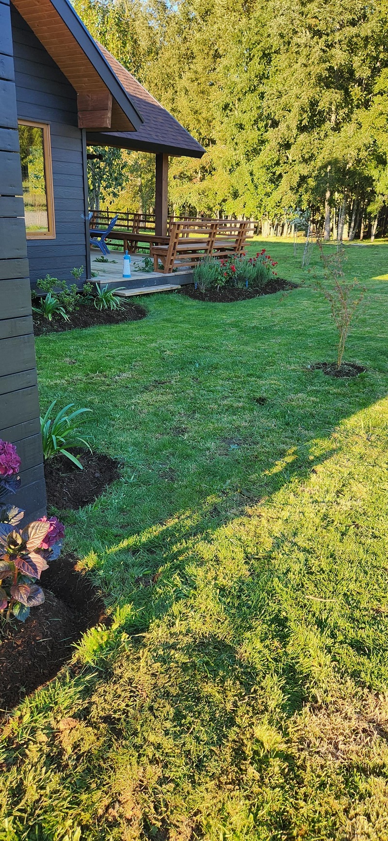 Bordes ornamentales con especies de la Región de La Araucanía