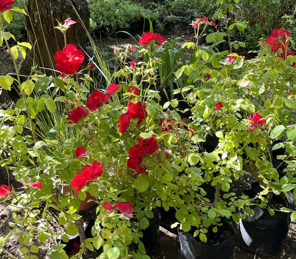 Resultado del proyecto integral en casa recién construida