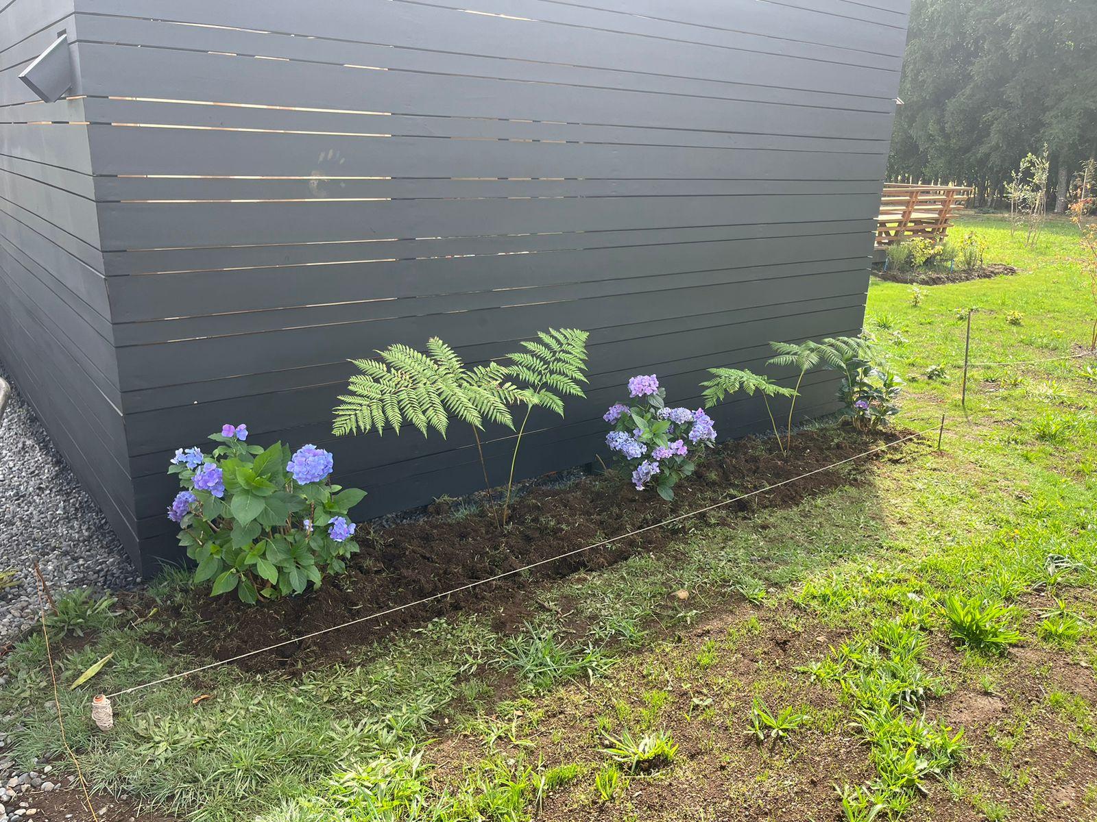 Césped verde y saludable después de siembra y resiembra