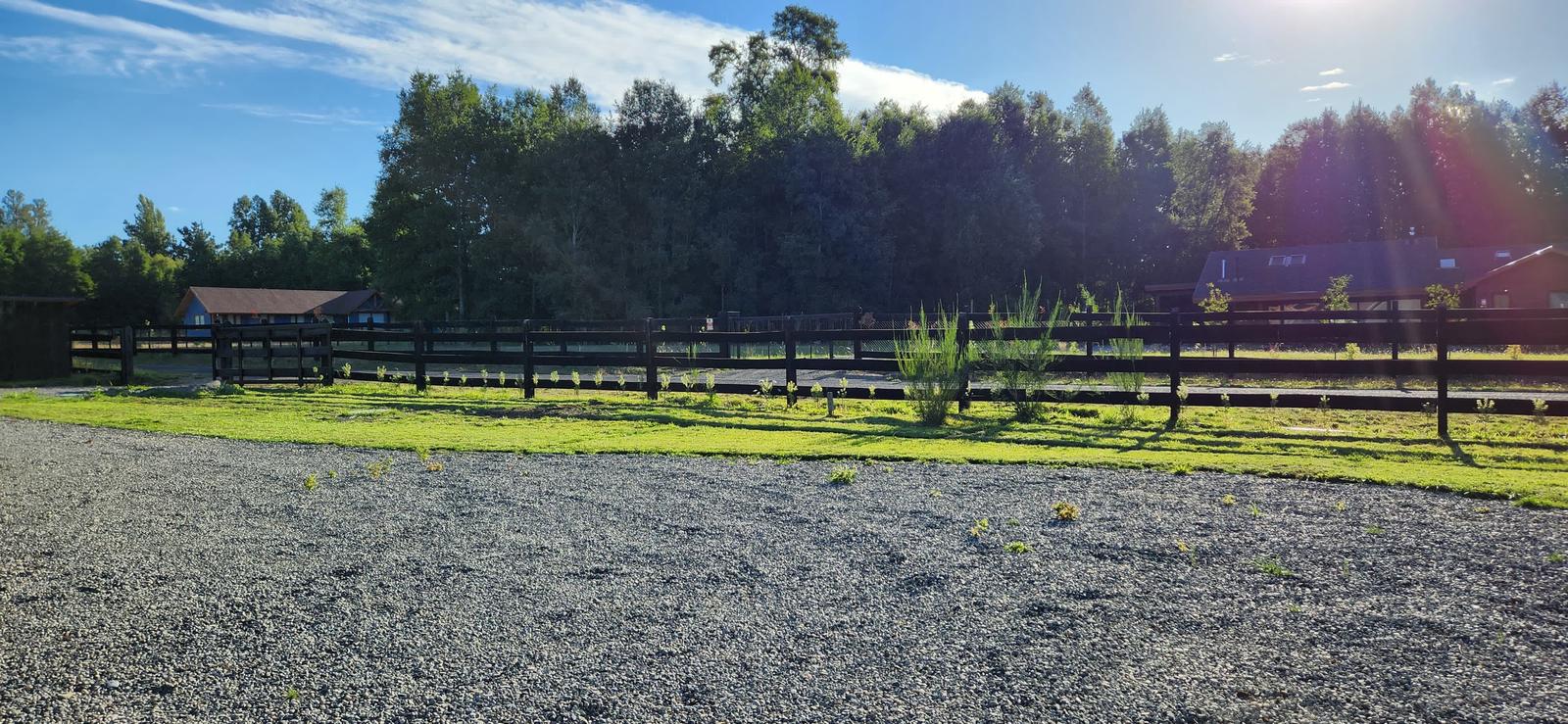 Jardín con especies ornamentales de la zona establecidas
