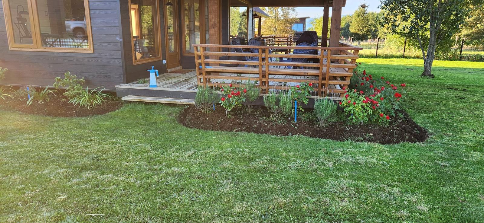 Vista del jardín residencial completamente transformado