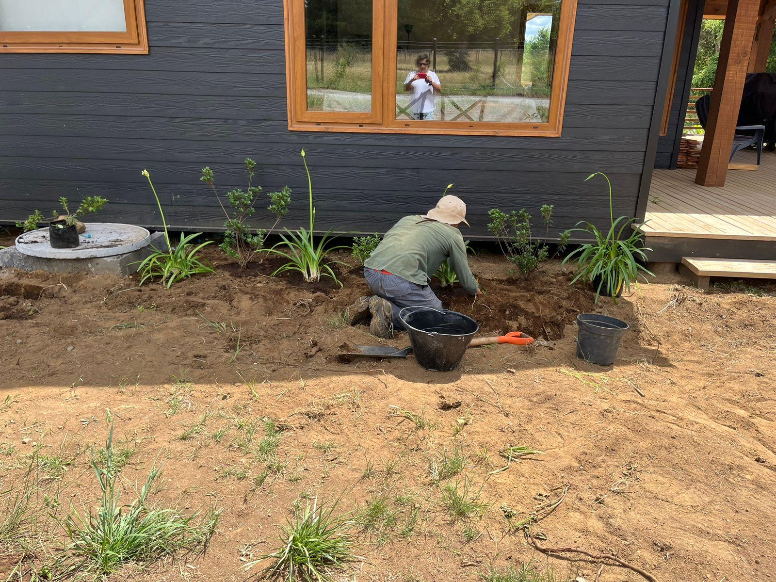 Creación de macizos con especies de la zona
