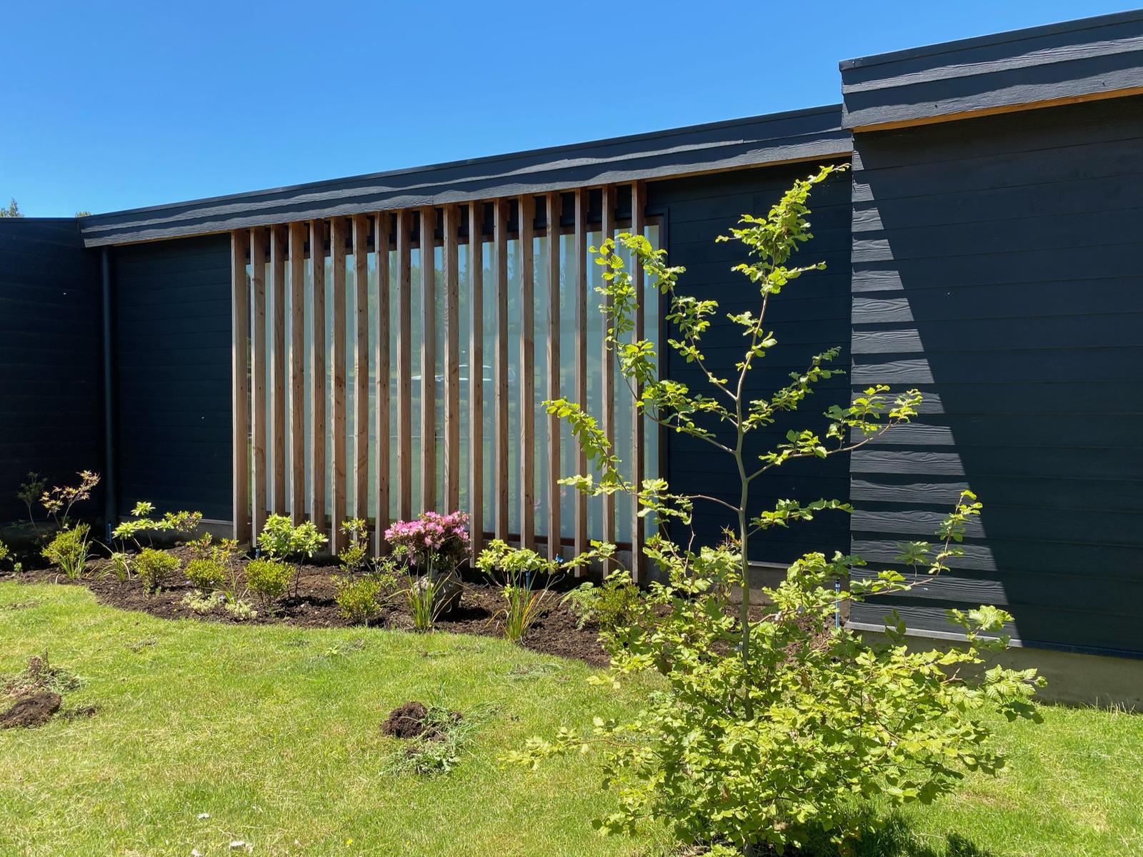 Diferentes espacios de jardín con especies de gran tamaño