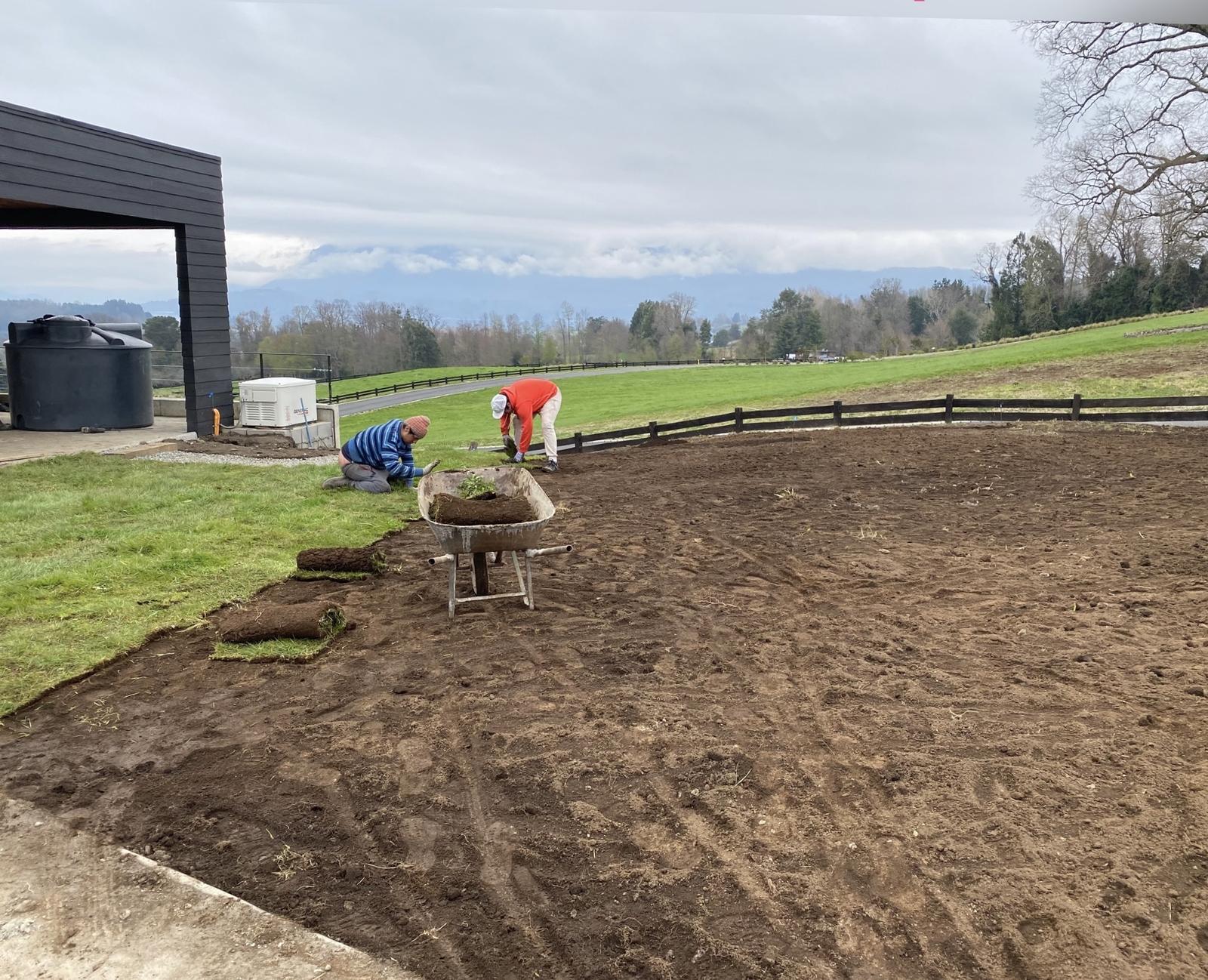 Nivelación del terreno para instalación de césped en pastelones