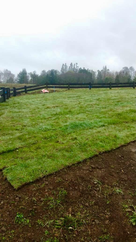 Ejecución de niveles y terrazas en el jardín escalonado
