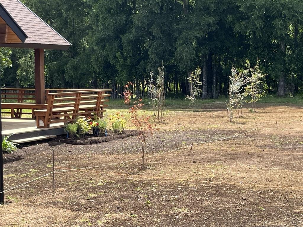 Plantación de especies ornamentales en jardineras escalonadas