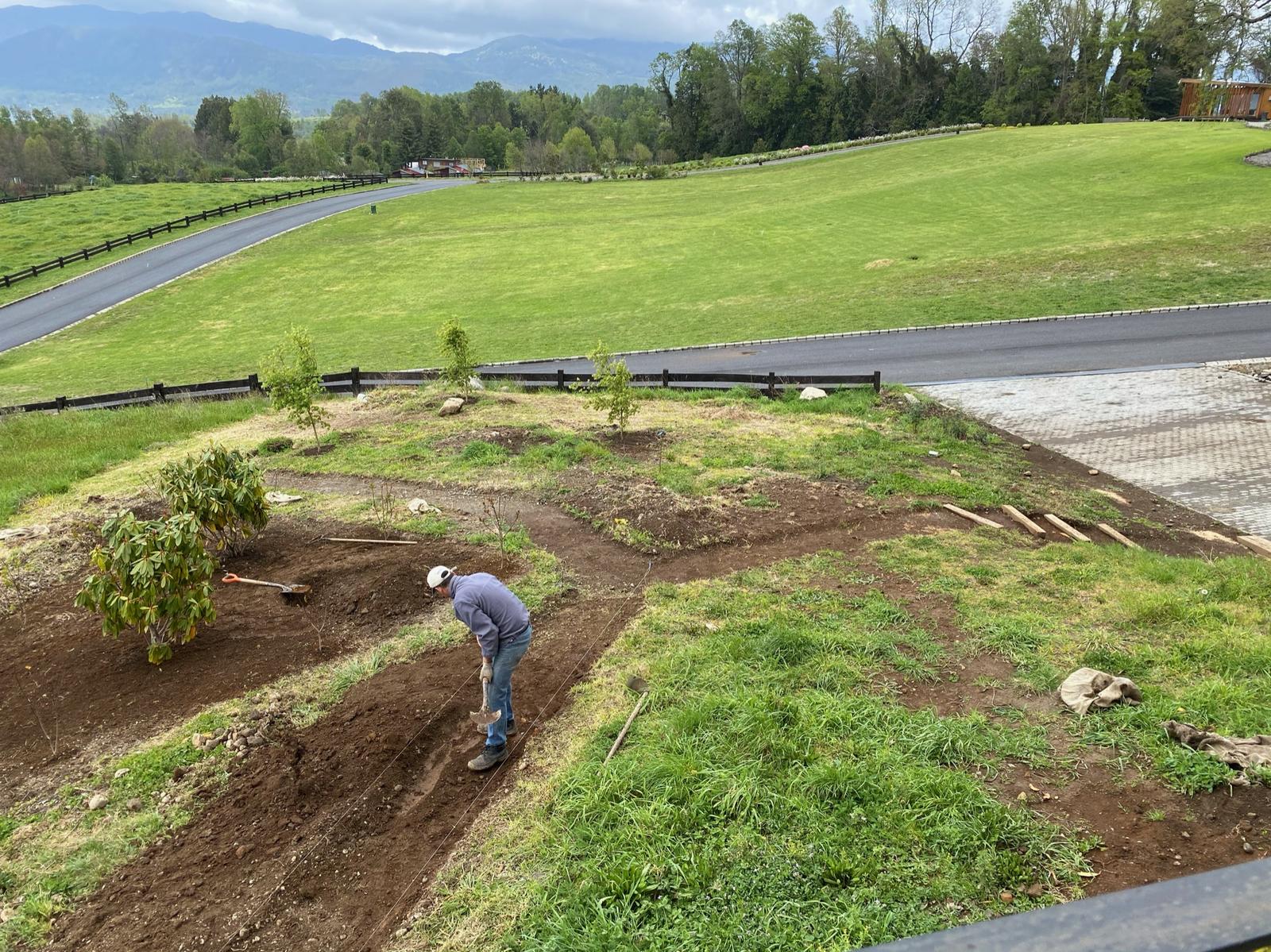 Instalación de borduras de arbustivas y gramíneas