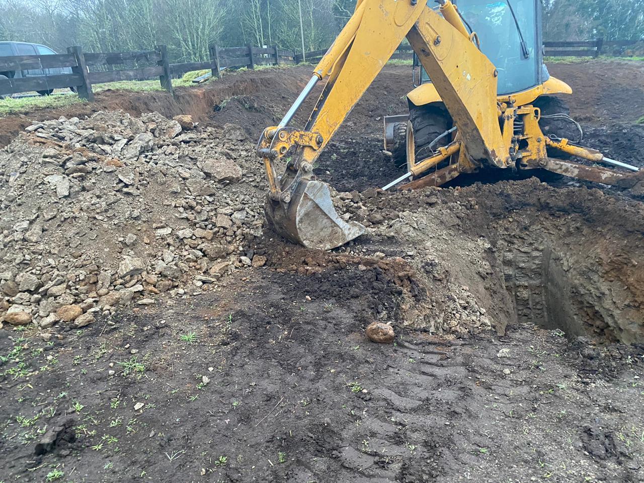 Proceso de transformación del talud en jardín funcional