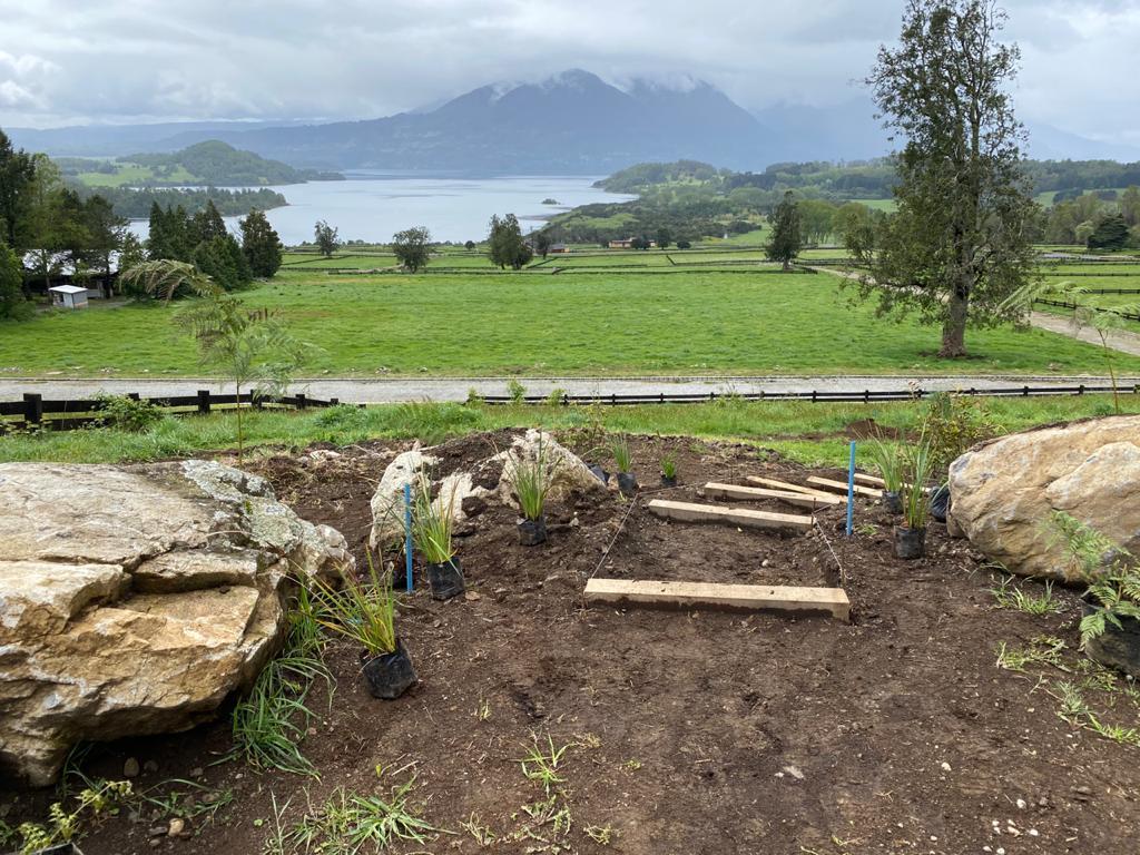 Últimas etapas de la ejecución del proyecto paisajístico