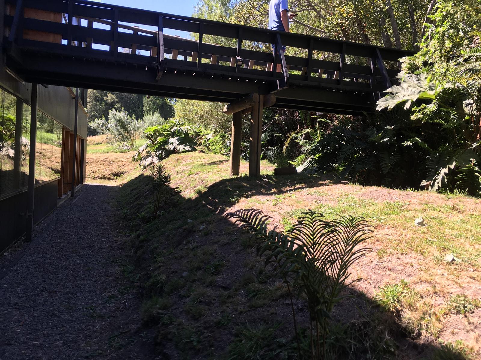 Jardín zona lacustre antes: estado inicial del césped