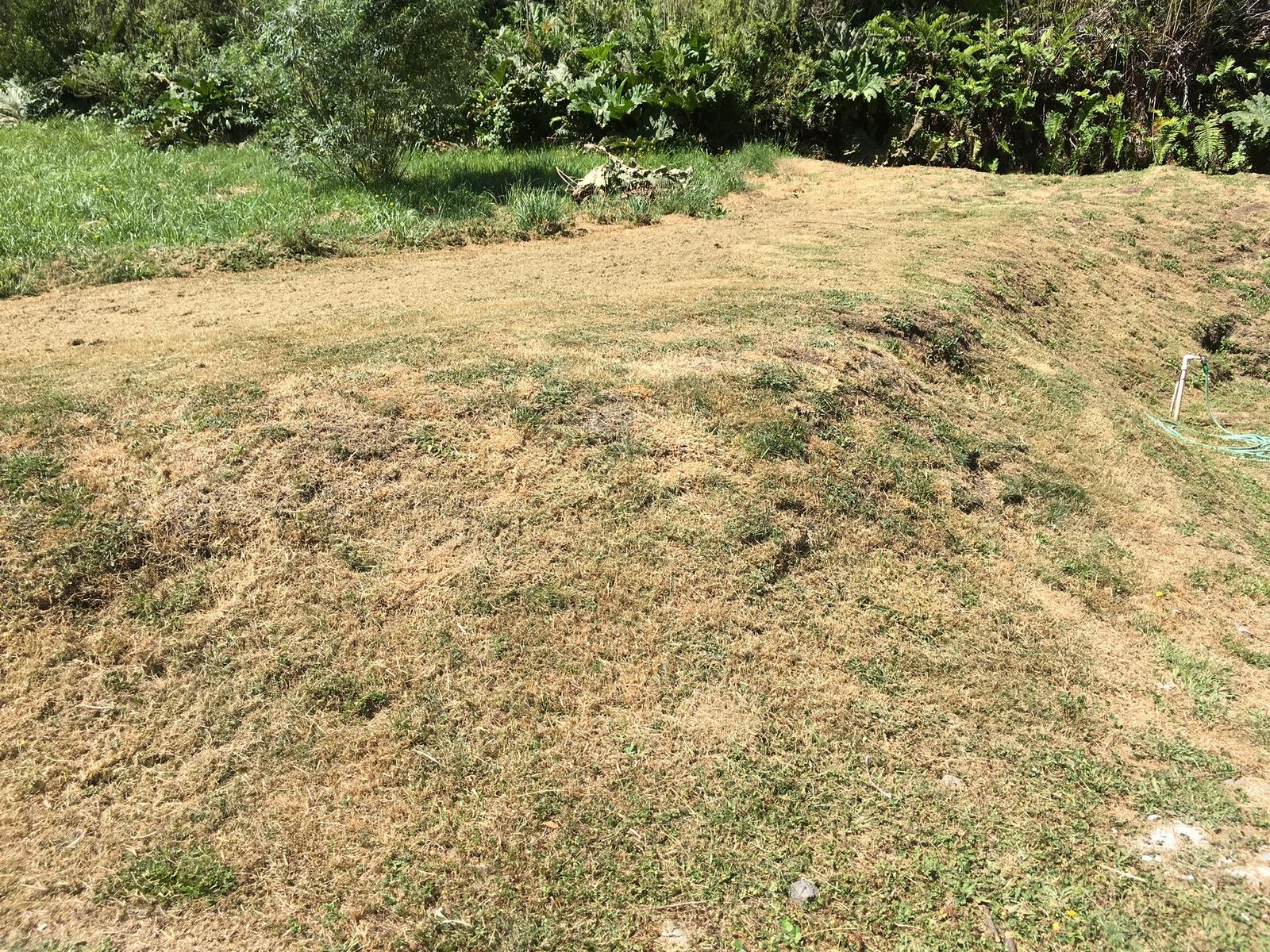 Vista del jardín antes de la transformación