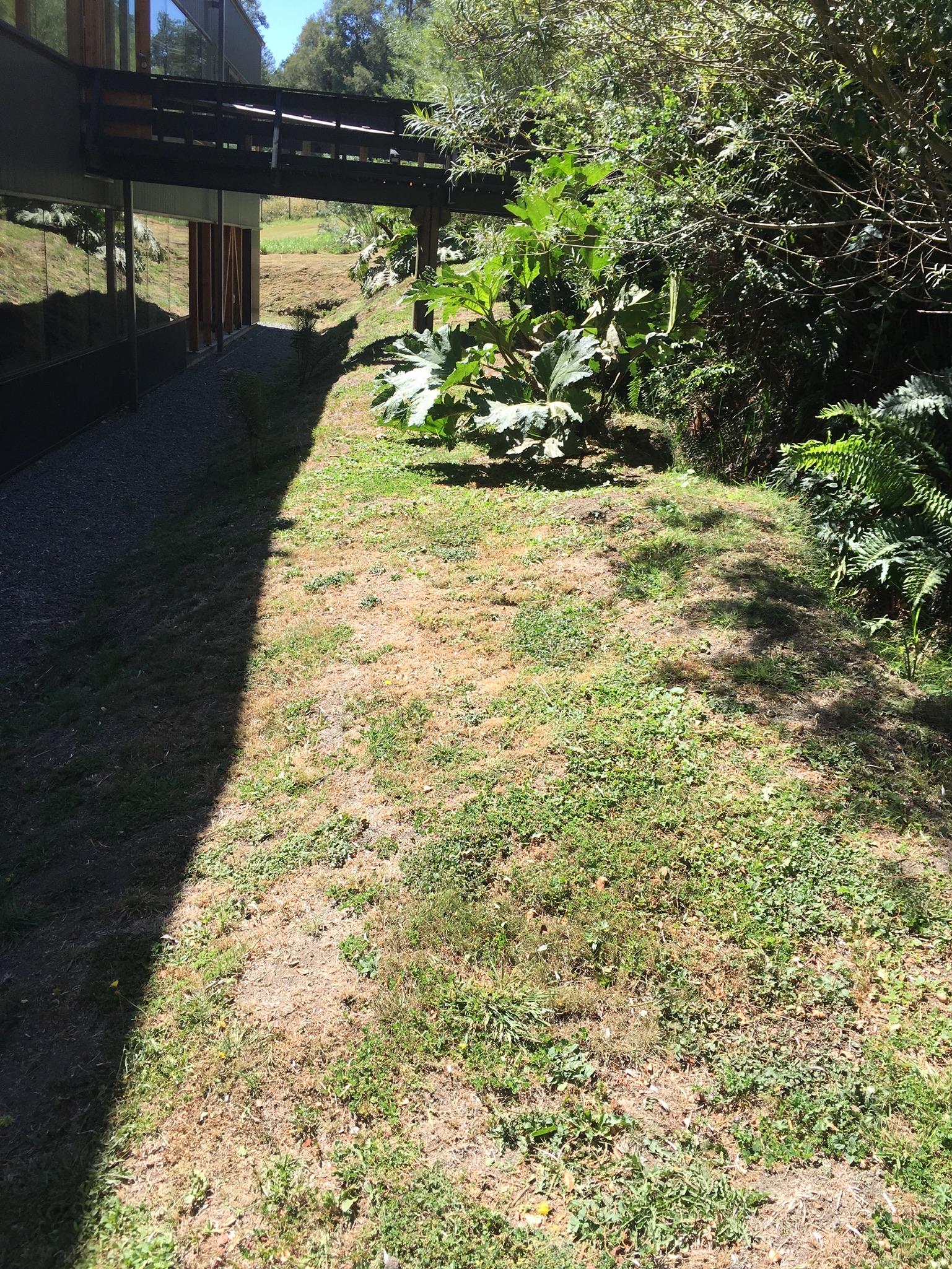 Talud al fondo del terreno sin pirca