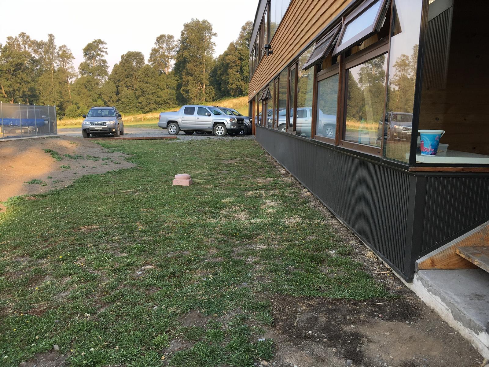 Estado previo del césped antes del re-semillado