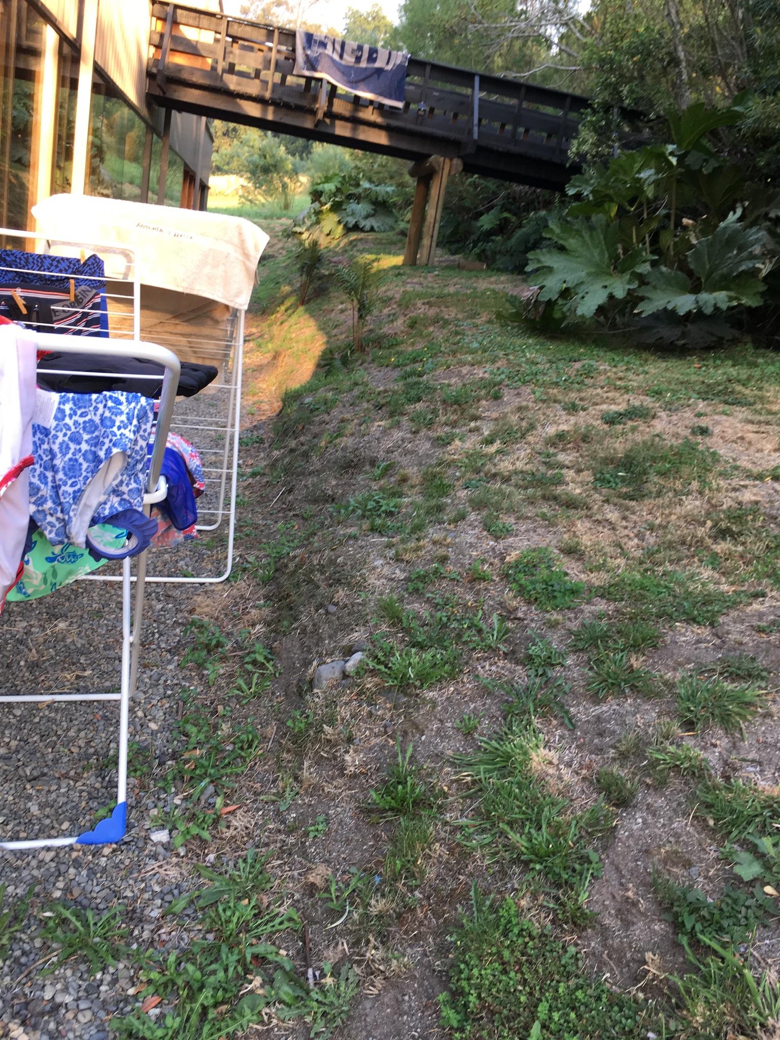 Accesos y niveles antes de las soluciones