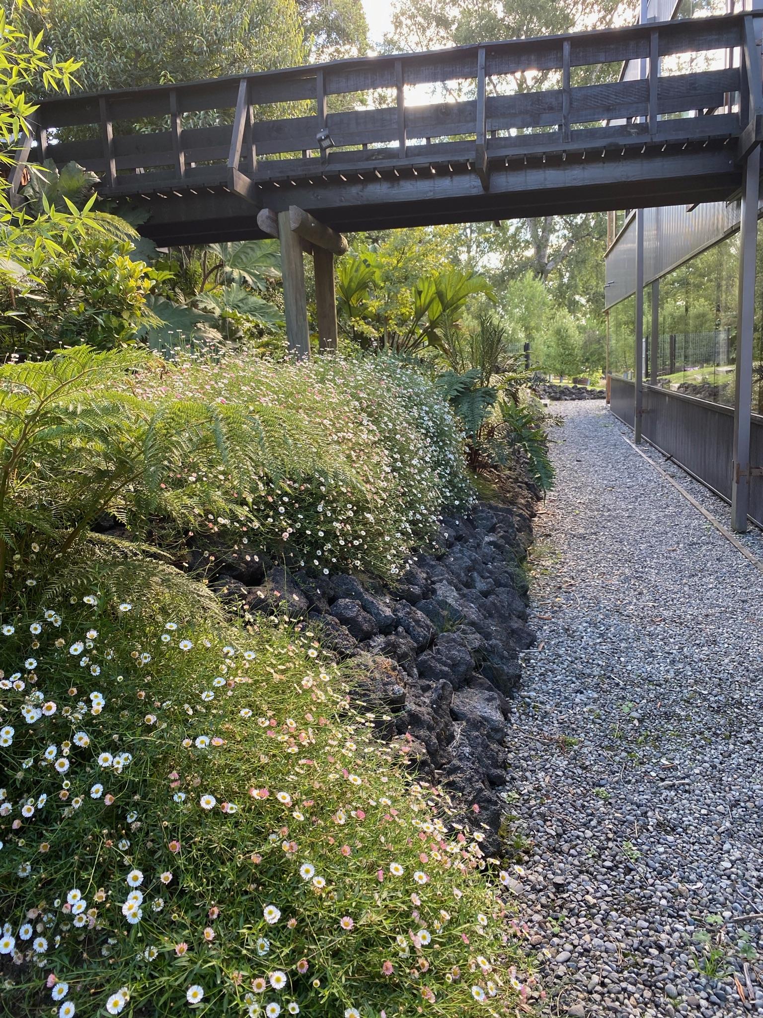 Jardín transformado con césped compacto y parejo
