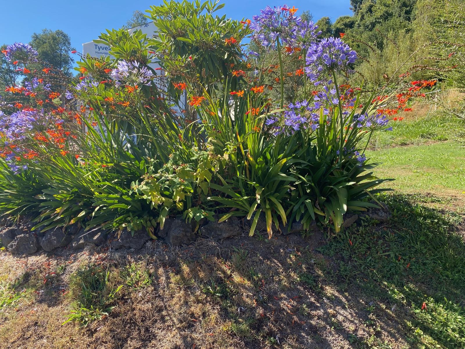 Talud posterior con pirca de piedra volcánica