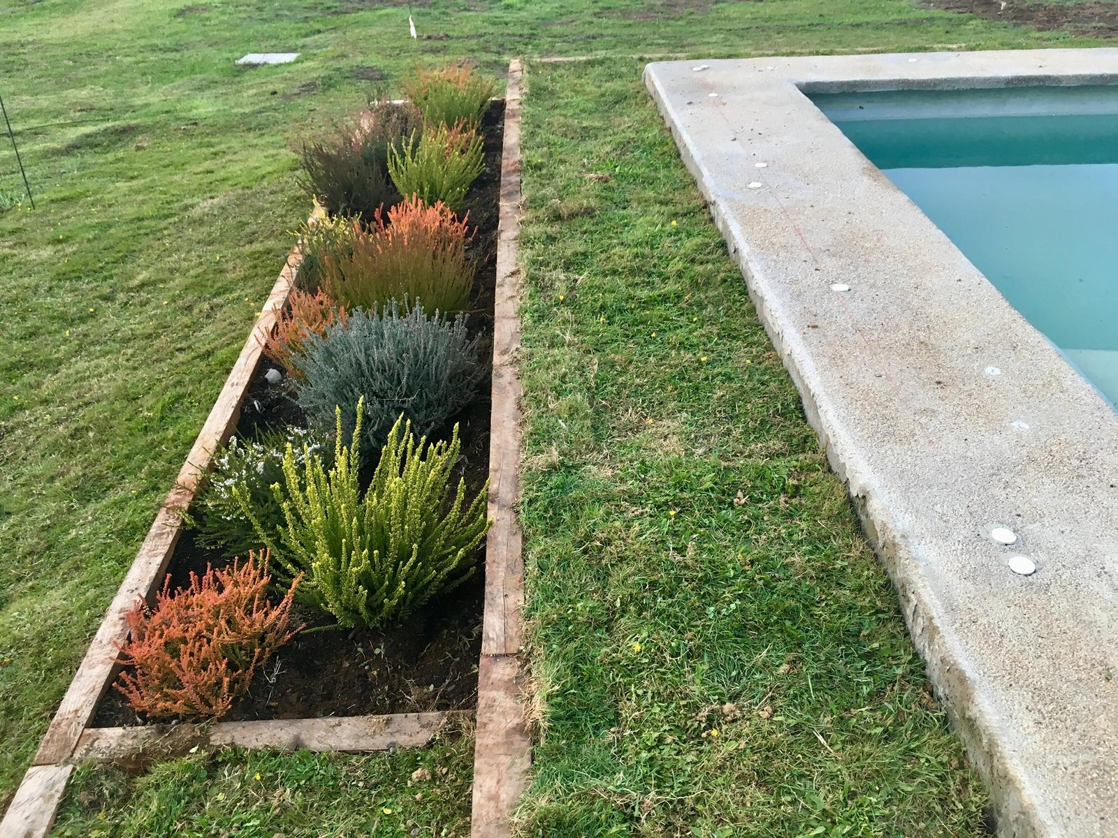 Césped de alta calidad después del re-semillado