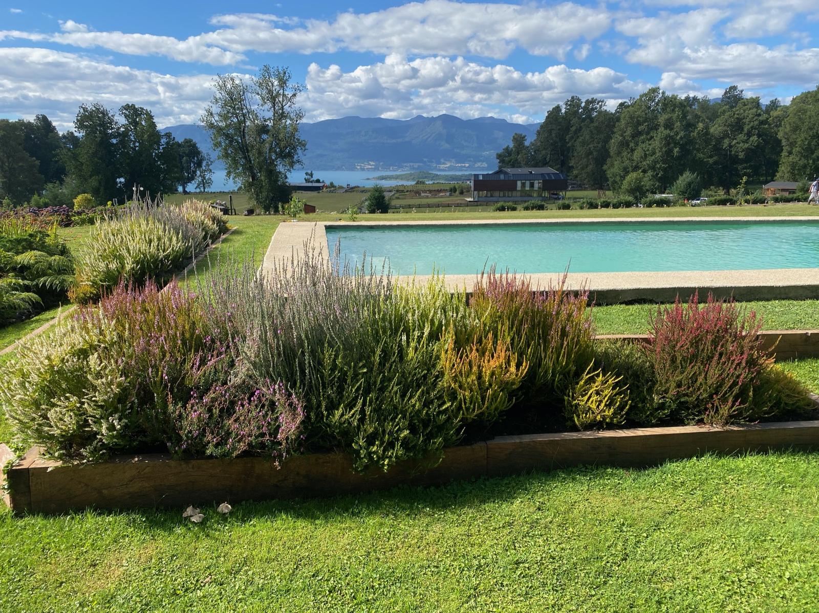 Vista panorámica del jardín transformado