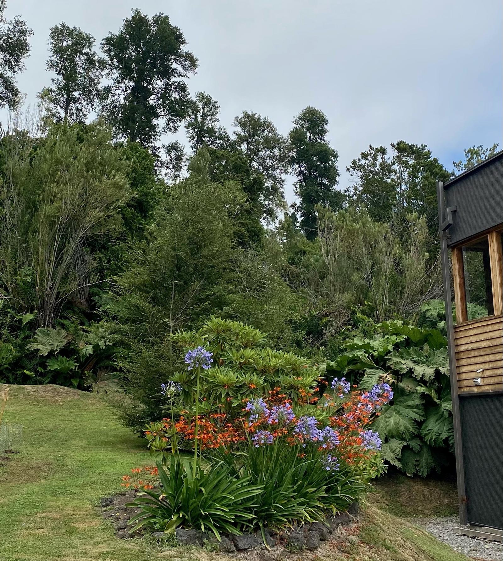 Vista del jardín con mejoras de niveles