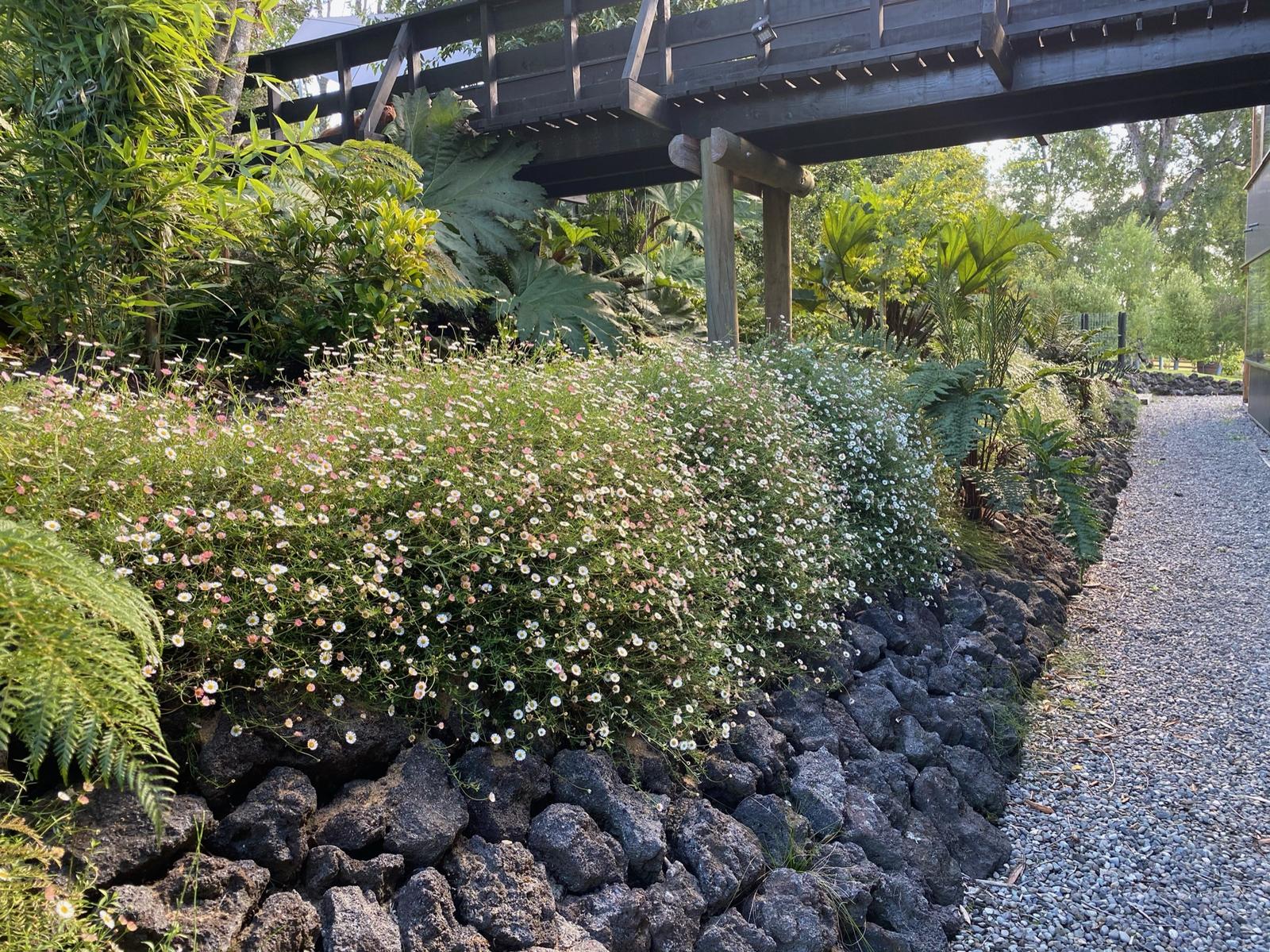 Renovación integral jardín zona lacustre finalizada
